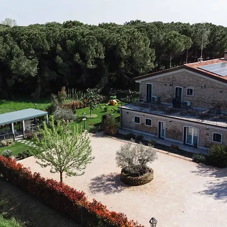 La Pineta del Borgo-3